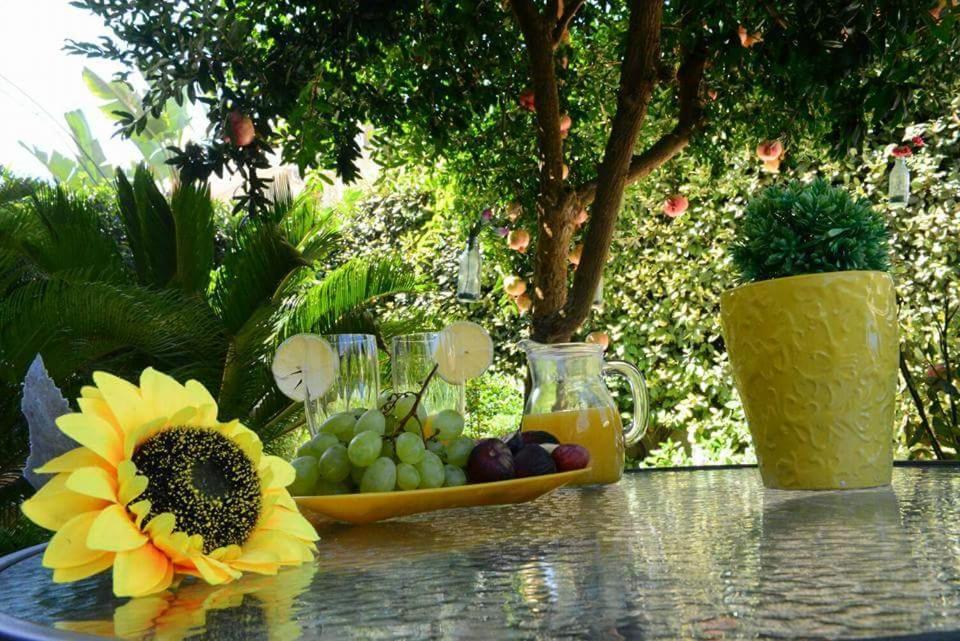 Profumo Di Mare B&B Gallipoli Exteriér fotografie